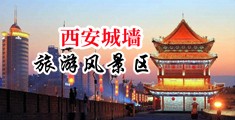 看欧美操逼视频，特大鸡巴操小女人中国陕西-西安城墙旅游风景区